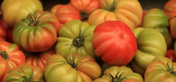 Pomodori