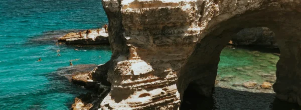 mare